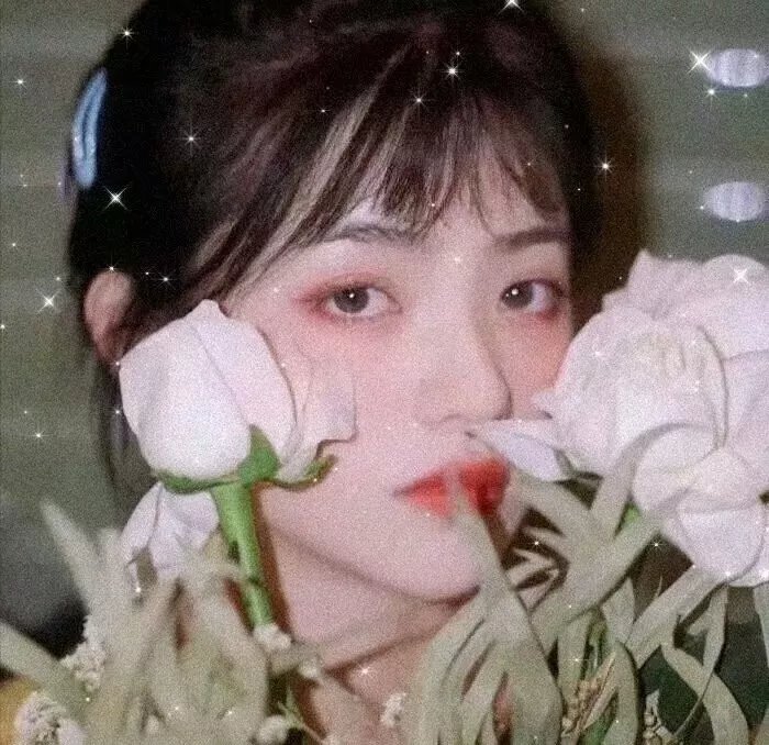 桥洞的诅咒